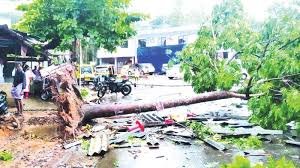 Heavy rains lash Kerala; trees uprooted, houses destroyed