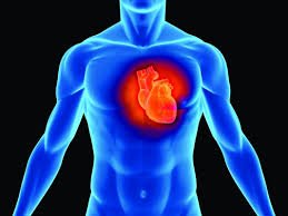 Study finds CoQ10, Selenium Linked To Reduced Cardiovascular Mortality Risk