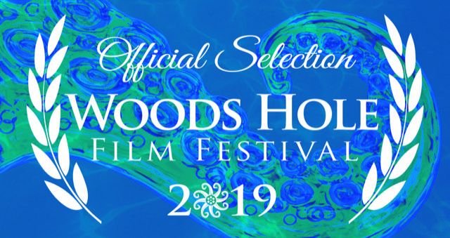 "GO FOR LANDING" Filmmaker Kevin Stirling's New Apollo 11 Doc Named Official Selection at Top-Ranked 2019 Woods Hole Film Festival