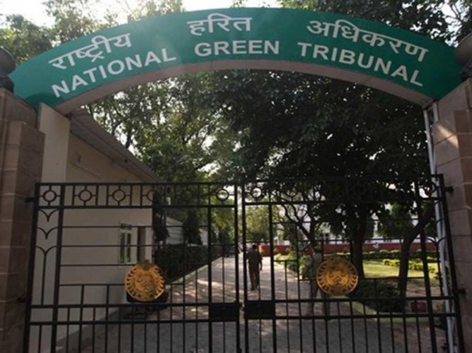 Urgent need to document details of local communities: NGT