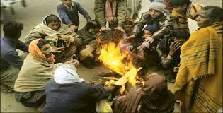 Cold wave grips Rajasthan