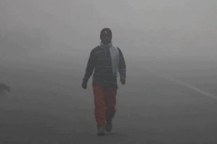 Cold wave conditions continue in Haryana, Punjab