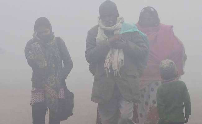 Slight respite from cold in Rajasthan