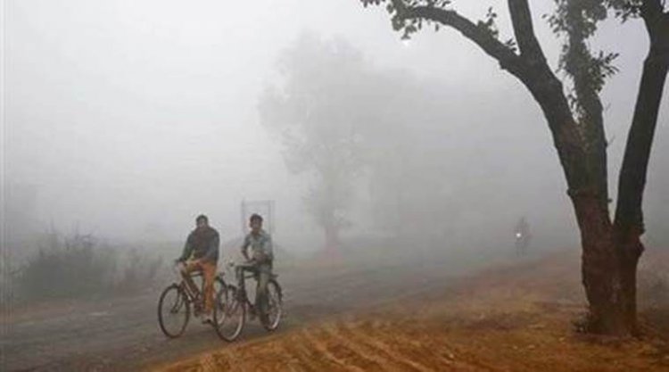 Cold conditions persists in Punjab, Haryana