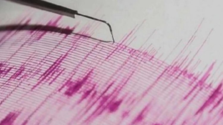 Quake hits parts of Odisha, no casualty reported