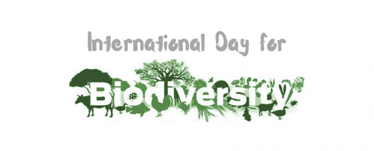 International Biodiversity Day 2020: Our Solutions are in Nature