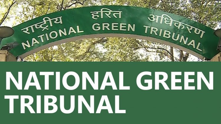 NGT directs CPCB to issue guidelines on monitoring of environmental norms by dairies