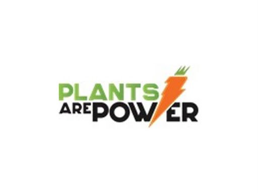 Lisa Haydon, Neha Dhupia, Kris Srikkanth, Naveen Jindal, Sunil Kant Munjal Urge India to Take the 21-Day Challenge for Ahimsa Trust's 'Plants Are Power' Campaign