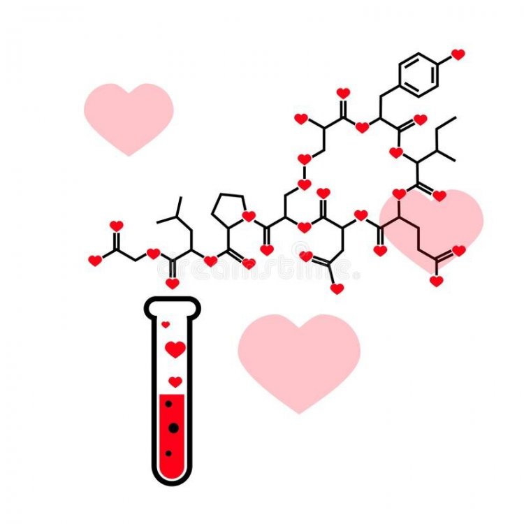 What Does the 'Love Hormone' Do? It’s Complicated