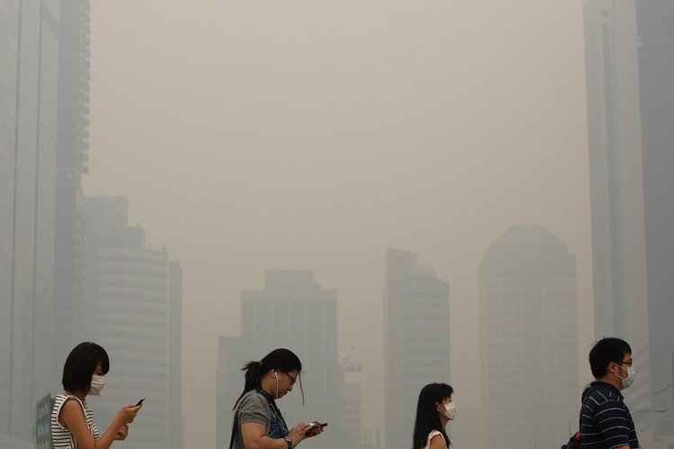Singapore Investigates Forest Fires Causing Haze Pollution
