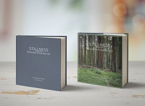Stillness: Whispers From Nature — A New Book Launch