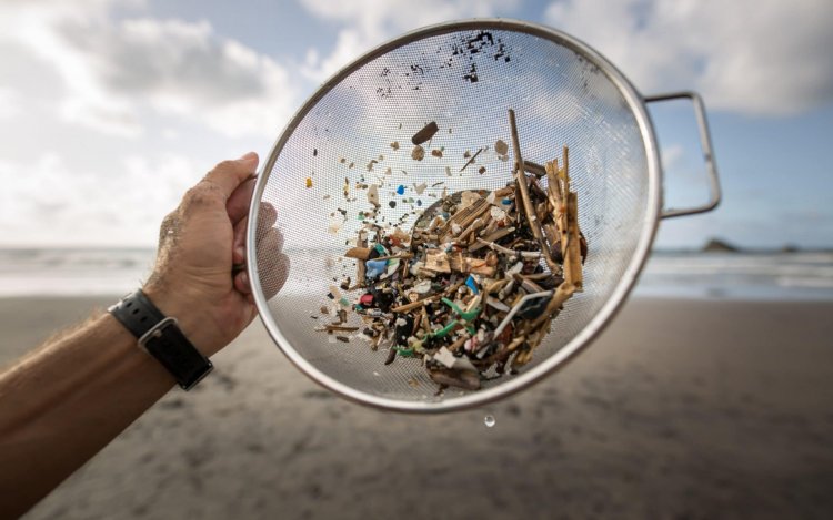 Microplastics Particles Now Discovered in Human Organs