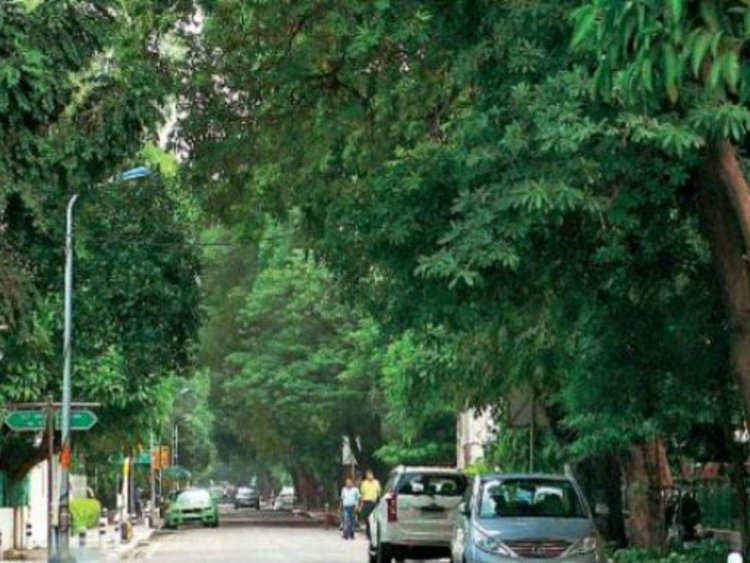 Delhi aims at 25 percent green cover by 2023