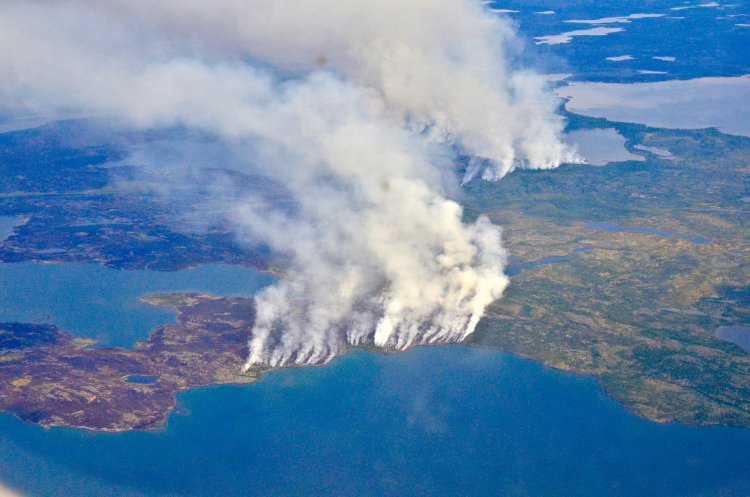 Arctic Fires Released High Record Of CO2 In 2020’s First Half