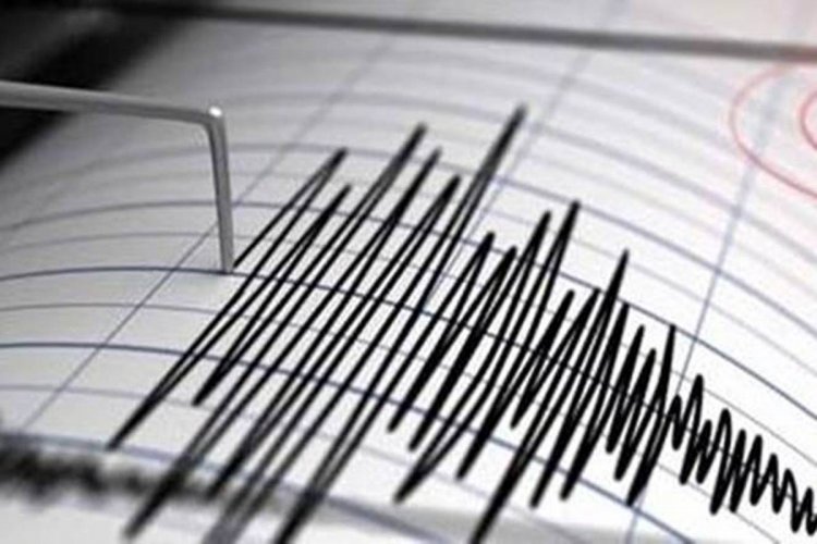 Moderate intensity quake in Shimla