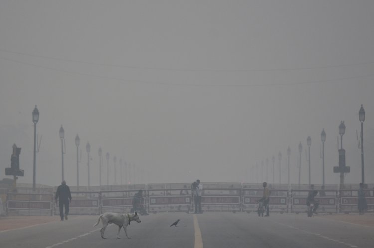 Delhi AQI: Air quality in national capital deteriorates to severe category
