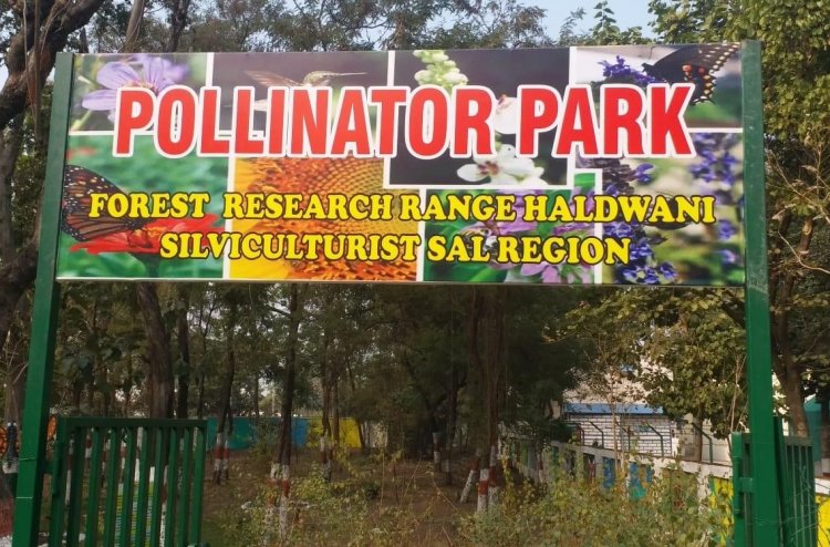 Uttarakhand: India's first pollinator park comes up at Haldwani