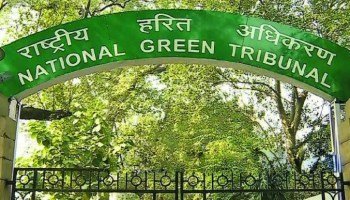 NGT directs UP govt to take action against unregulated solid waste dumping in Yamuna flood plains