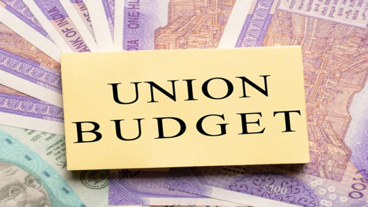 Budget does not address inequities, bold for its fiscal stance: Economists